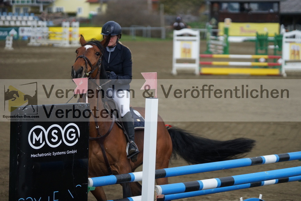 DSC01008 | equestrian-live-com