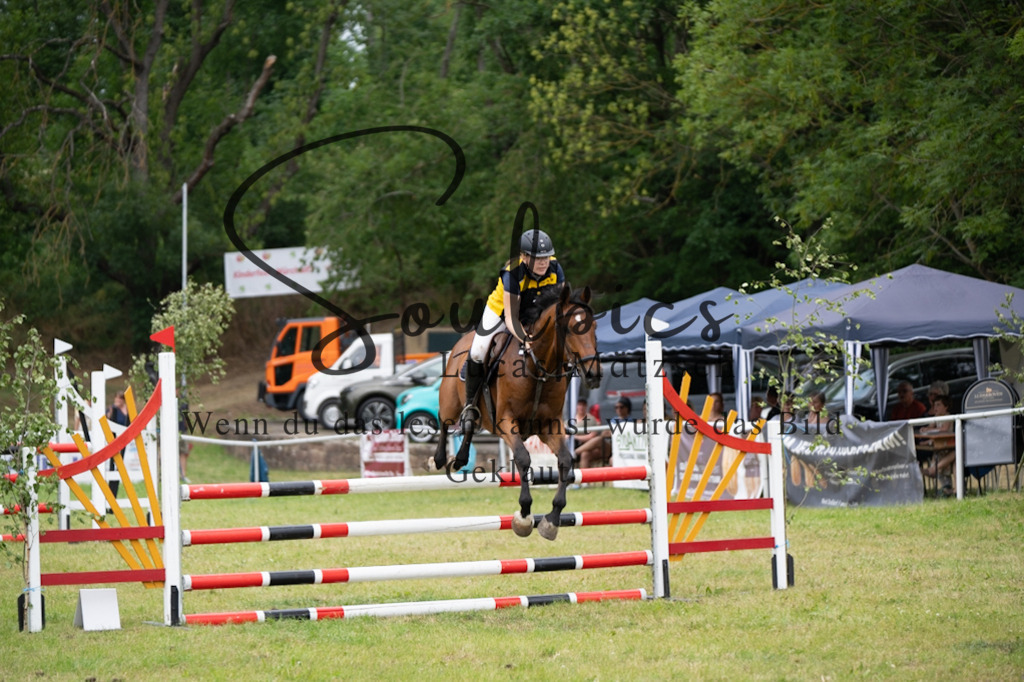 A7V07062 | Pferdefotograf