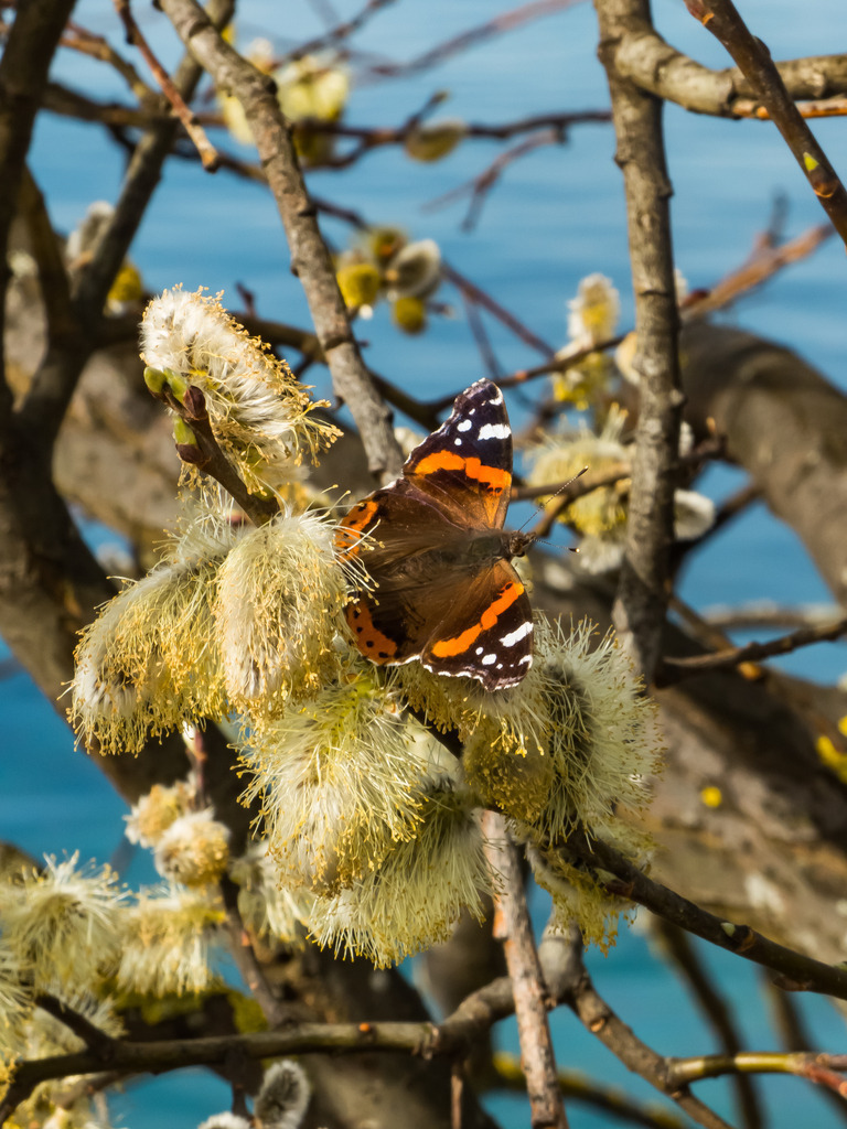 PSX_20230318_235328 | mtkfoto_ - Realisiert mit Pictrs.com