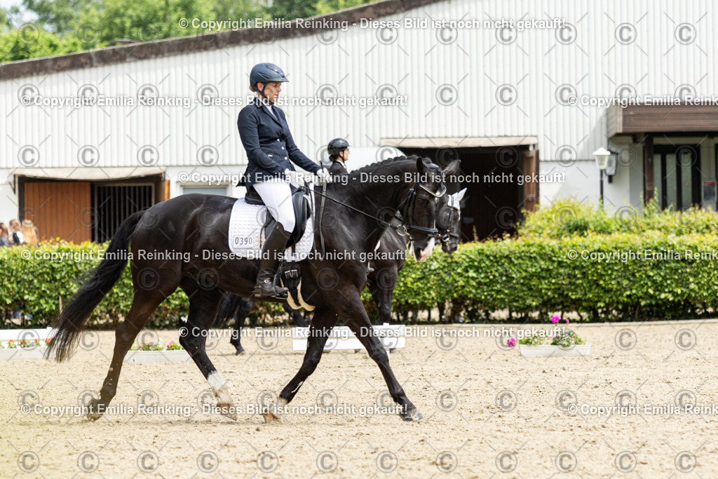 CL5A2211 | Emilia Reinking Fotografie - Realisiert mit Pictrs.com