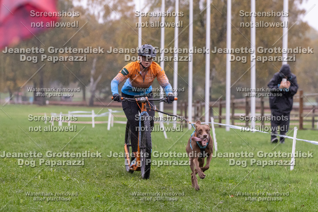 Dog Paparazzi - SD CaniX Championship 2025-892 | Dog Paparazzi Jeanette Grottendiek Fotografie & Videografie - Realisiert mit Pictrs.com