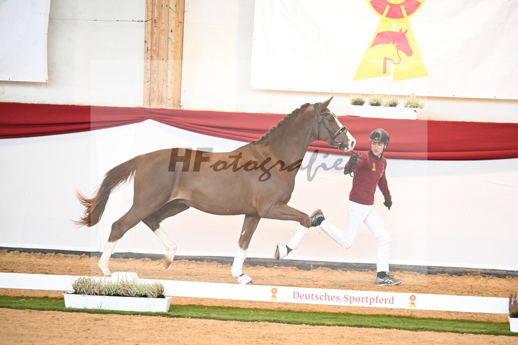 Kat-Nr. 50 Total Hope x Locksley III_Huemmer_47240761 | hf-fotografie - Realizzato con Pictrs.com