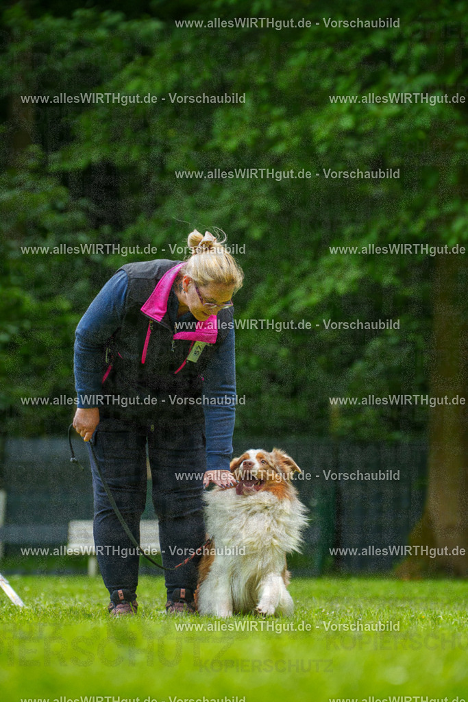 @allesWIRTHgut_Tierfotografie - www.allesWIRTHgut.de - 7R501238 | Professionelle Tierfotografie in Mönchengladbach von Daniel Wirth (allesWIRTHgut). Liebevolle & natürliche Bilder von Hunden & Katzen für unvergessliche Erinnerungen.