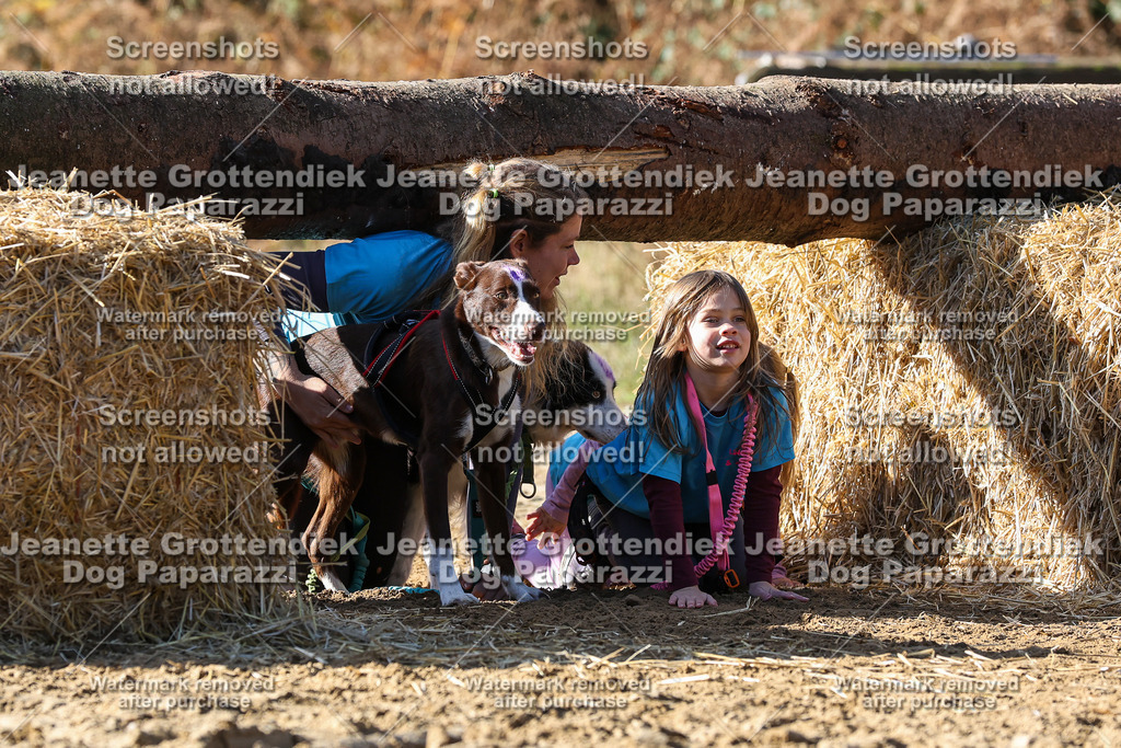 Dog Paparazzi - Strongdog 10-25-2944 | Dog Paparazzi Jeanette Grottendiek Fotografie & Videografie - Realisiert mit Pictrs.com