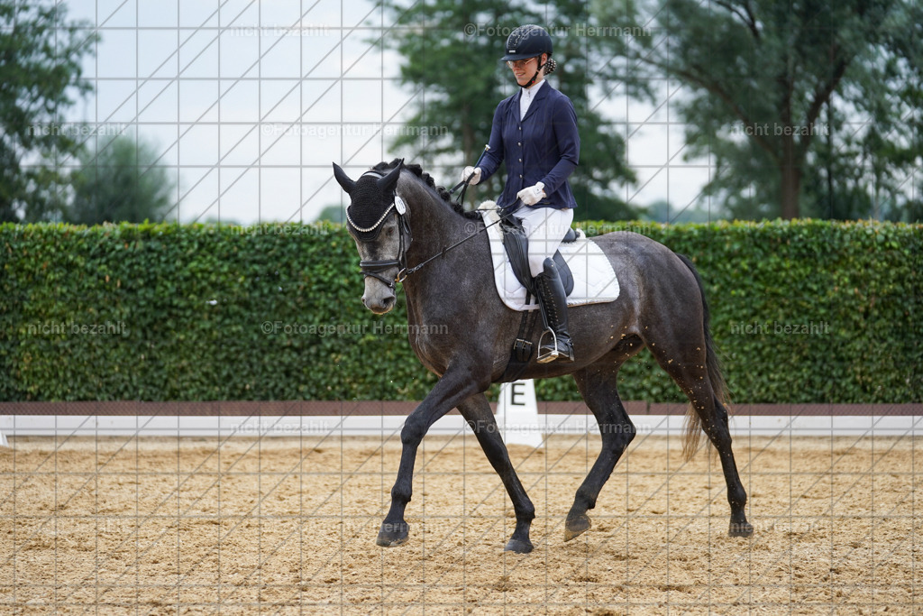 20240630-FAH00897 | Turnierbilder Schwabmünchen, Dressurbilder, Springreitturnier, Reitsportbilder, Turnierfotografen Bayern, Turnierfotograf