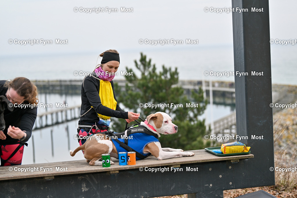 DSC_3686 | Hallo und herzlich Willkommen auf meiner Shop-Seite Fynn Most.

Ich wünsche Dir viel Spaß beim stöbern durch die Bilder, wenn Du Fragen hast oder Bilder vermisst, kannst du mir gerne eine Nachricht schreiben. - Realisiert mit Pictrs.com