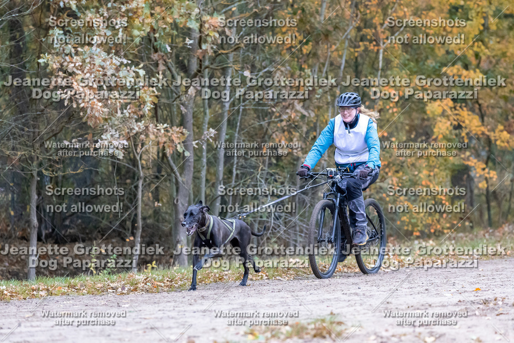 Dog Paparazzi - SD CaniX Championship 2025-284 | Dog Paparazzi Jeanette Grottendiek Fotografie & Videografie - Realisiert mit Pictrs.com