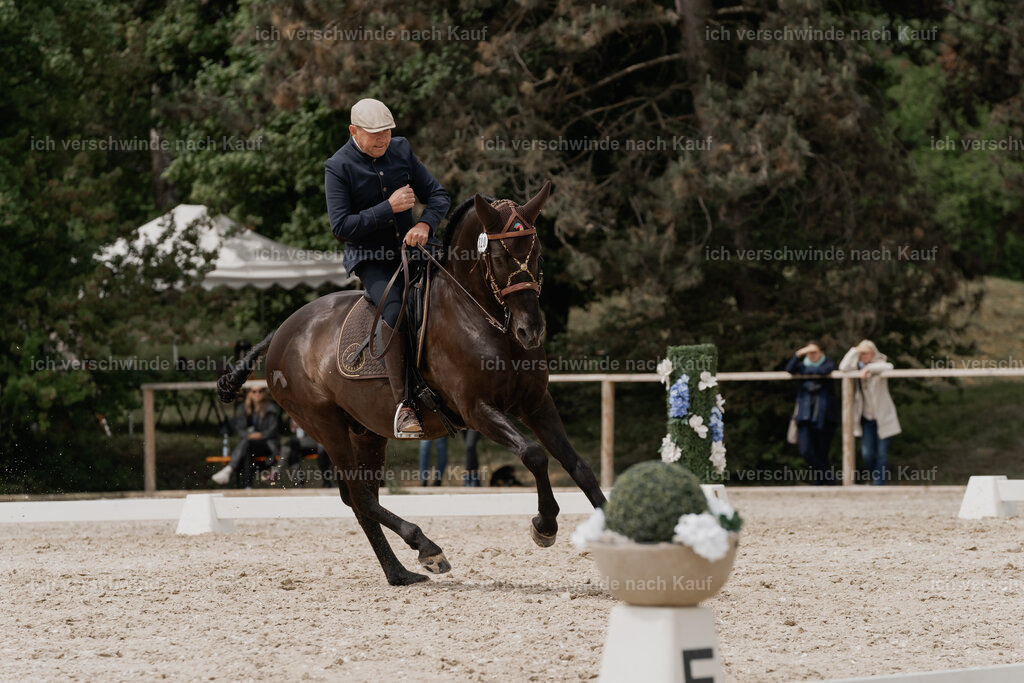 WE_DR_Stoib_320_PI2025_322 | Pferd International München 2025