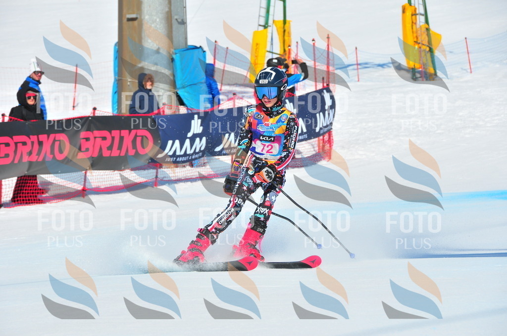 DSC_4310 | holidayphoto