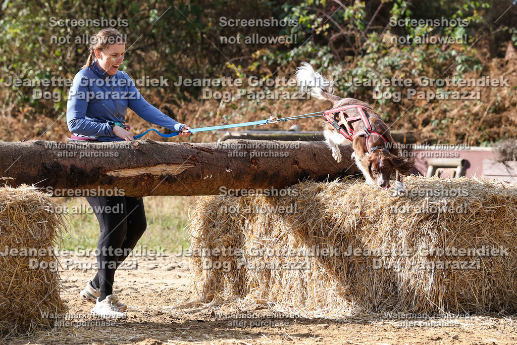 Dog Paparazzi - Strongdog 10-25-5264 | Dog Paparazzi Jeanette Grottendiek Fotografie & Videografie - Realisiert mit Pictrs.com