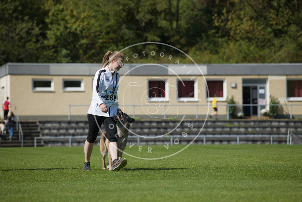 0L8A2574 | Hundefotografie, Tierfotograf, Pfotenfotografie, Fotoshooting Hund, Hunde Portrait, Hundesport, Hundeportraits, Heideshooting, Hunde, Sportfotograf, Hundefotograf, Turnierhundsport, THS,  - Realisiert mit Pictrs.com
