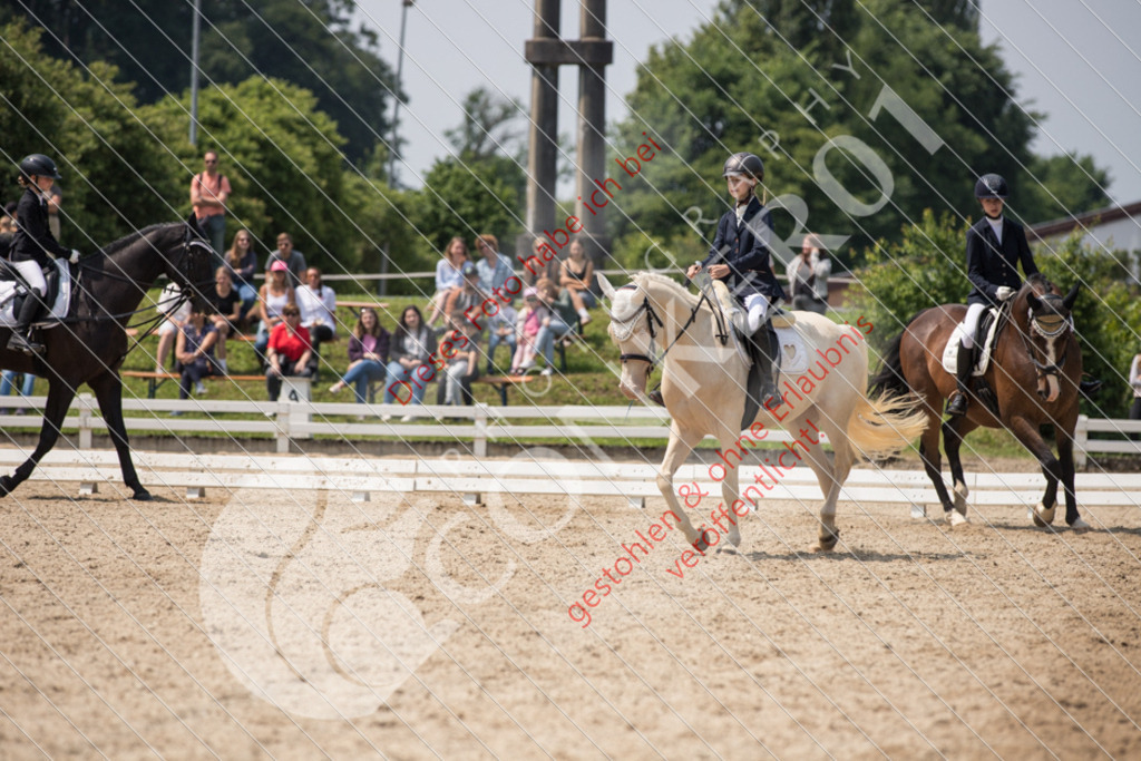 IMG_3741 | Sport-, Event- und Tierfotos in Profiqualität. Einfach auswählen, bestellen und herunterladen. Dein Moment – perfekt festgehalten.