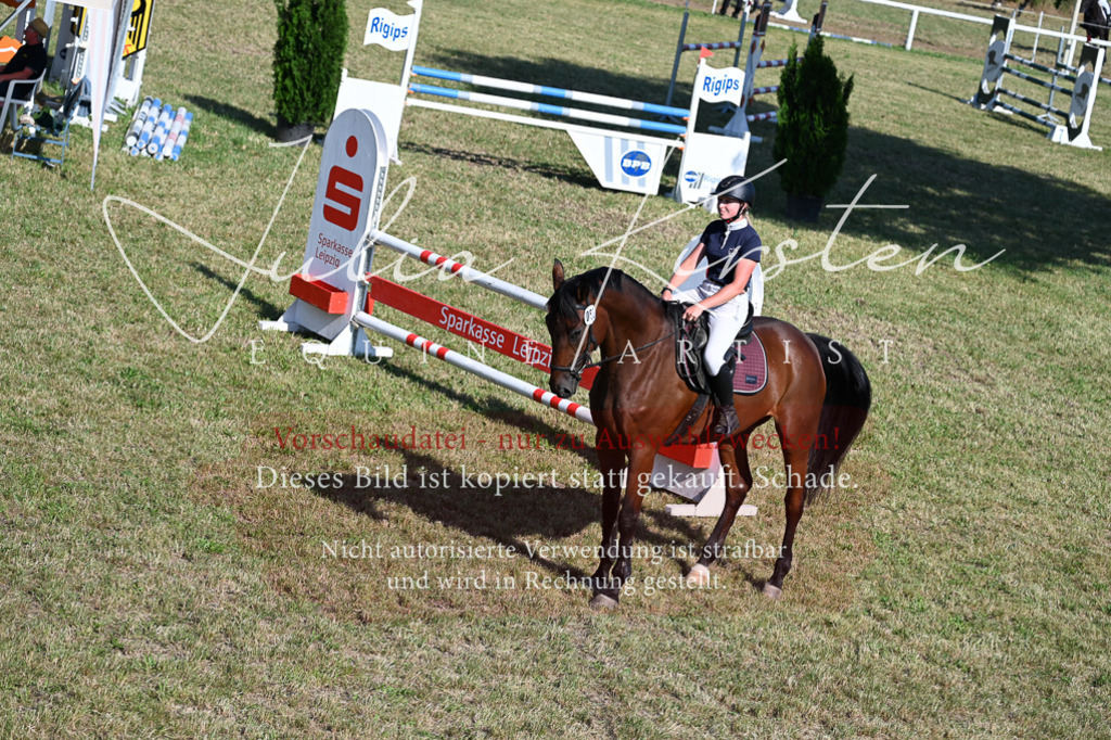 DSC_2349 | Pferde- und Turnierfotografie in Westsachsen. Pferdeportraits, Auftragszeichnungen und intuitive Kunst.