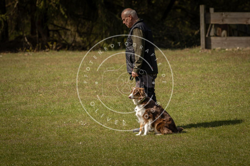 Pfotenfotografie_DV3A1289 | Hundefotografie, Tierfotograf, Pfotenfotografie, Fotoshooting Hund, Hunde Portrait, Hundesport, Hundeportraits, Heideshooting, Hunde, Sportfotograf, Hundefotograf, Turnierhundsport, THS,  - Realisiert mit Pictrs.com