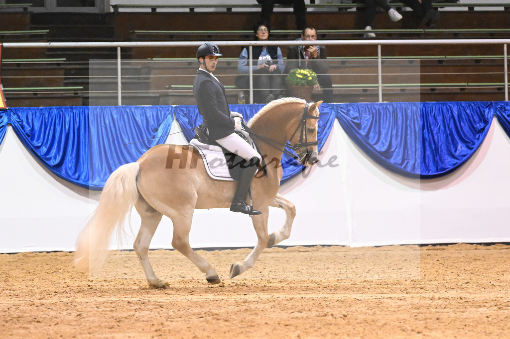 Schauprogramm_54222617 | hf-fotografie - Realisiert mit Pictrs.com