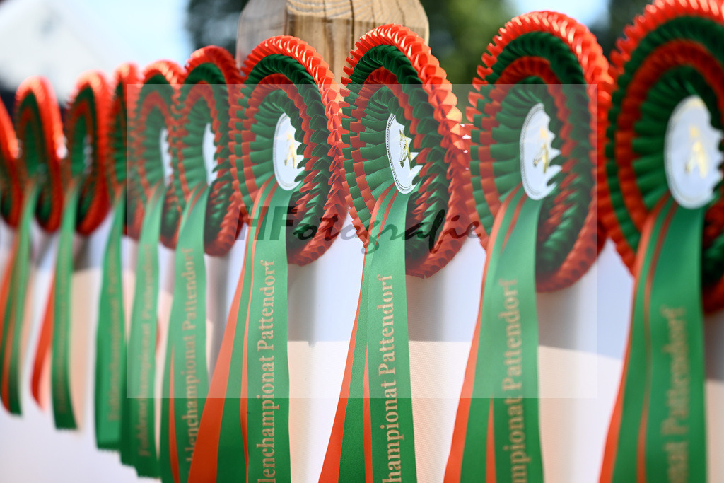 Impressionen_27230010 | hf-fotografie - Realisiert mit Pictrs.com