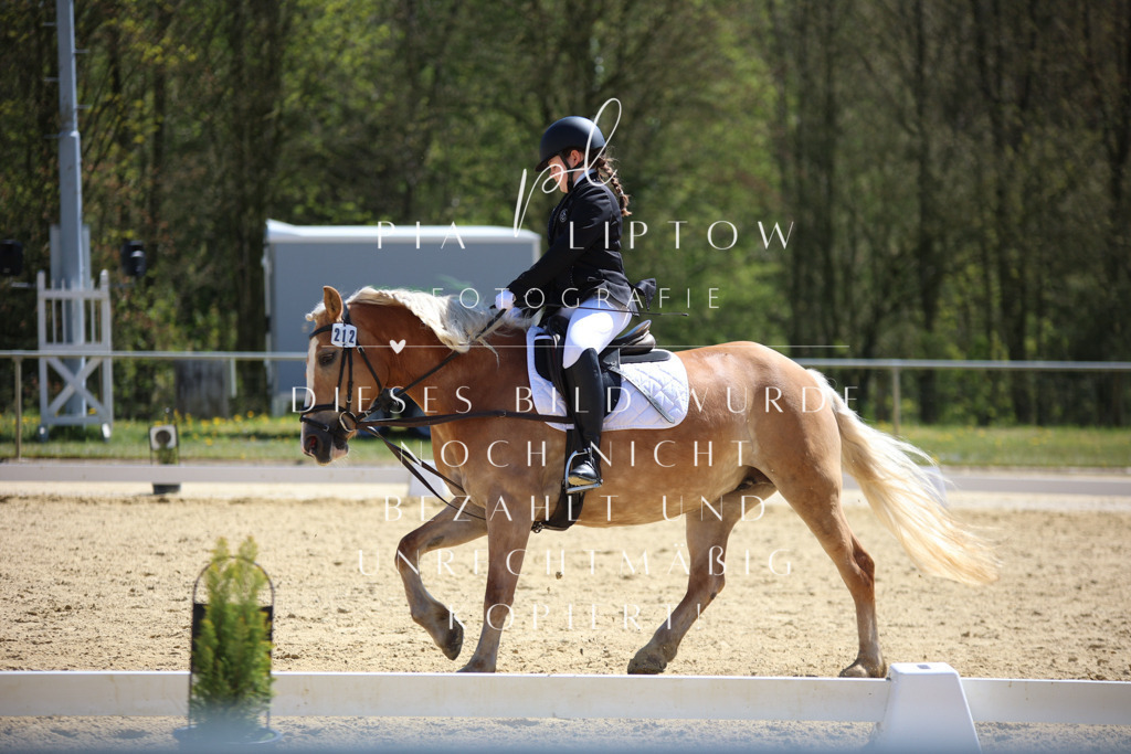 IMGT1249 | pl-fotografie