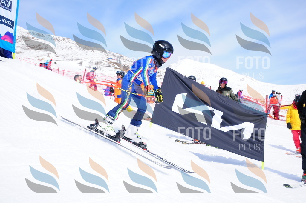 DSC_3397 | holidayphoto