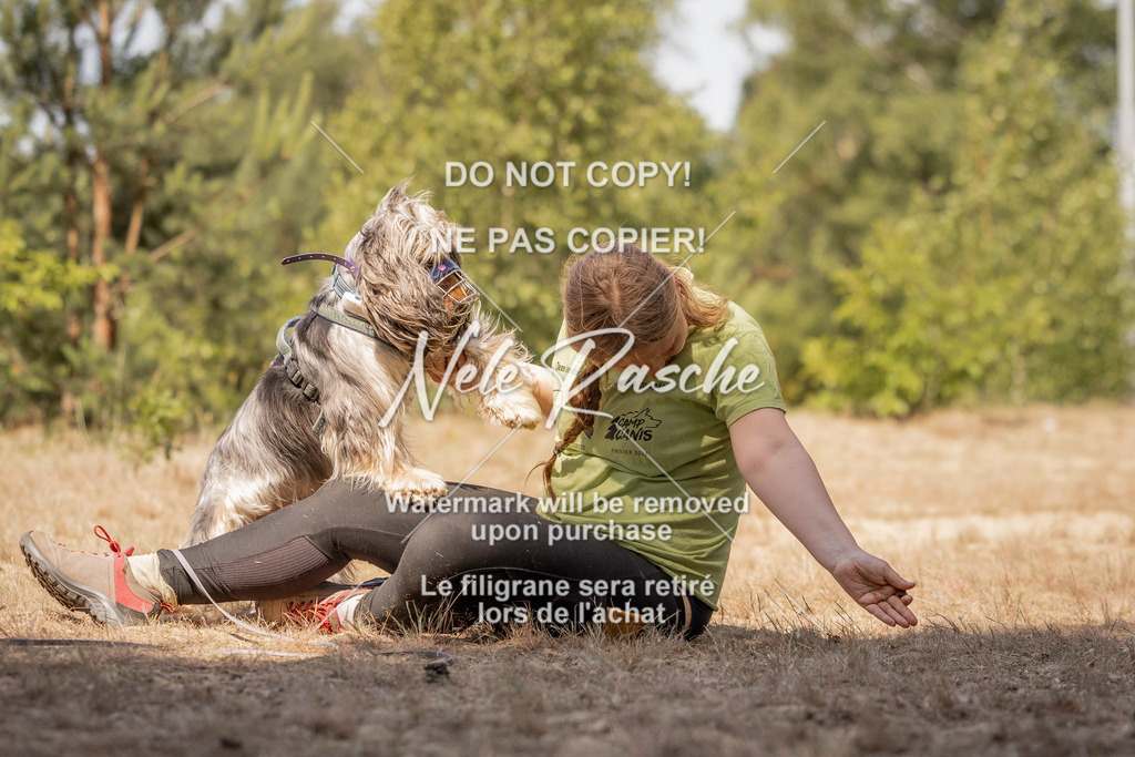 nelerasche_soDD2_371 | nelerasche