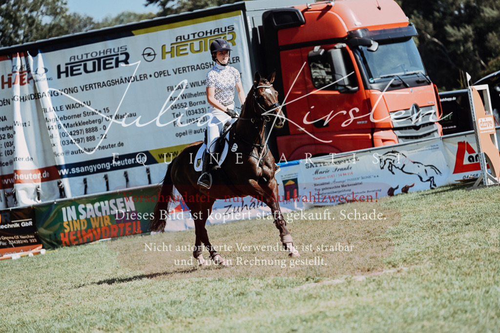 DSC_6762 | Pferde- und Turnierfotografie in Westsachsen. Pferdeportraits, Auftragszeichnungen und intuitive Kunst.