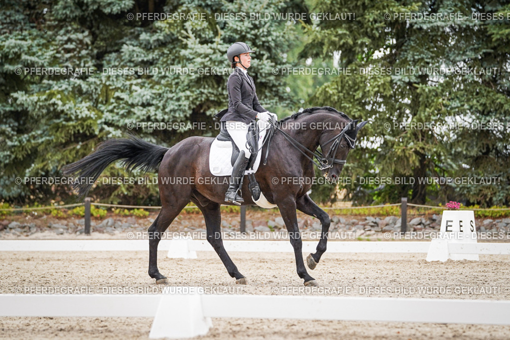 DSC04352 | Pferdegrafie