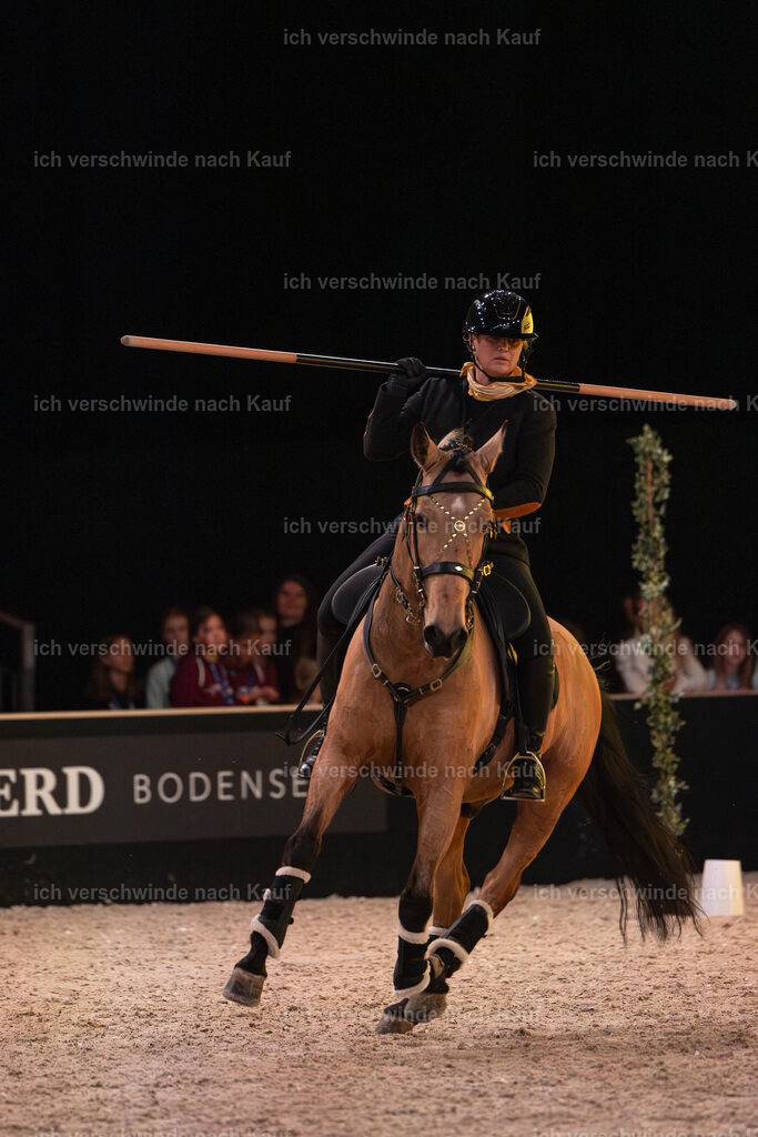 JoseraCup-142 | working equitationturnier fotograf videograf stoibphotography marixx film working equitation deutschland reitsport turnierfotografie eventfotografie equestrian events