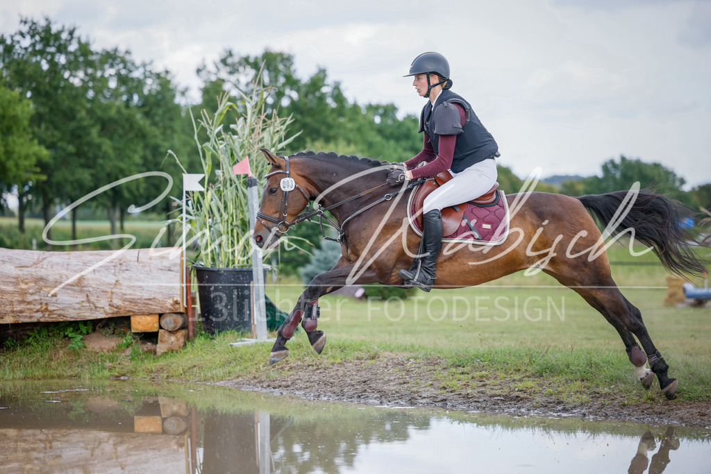 20250905-_3LI0604 | Tierfotografie Pferde, Hunde, Katzen, Haustiere.
Turnierfotografie Reitturniere, Reiten, Springreiten, Dressur in Hanau, dem Main-Kinzig-Kreis und dem Rhein-Main- Gebiet um Frankfurt