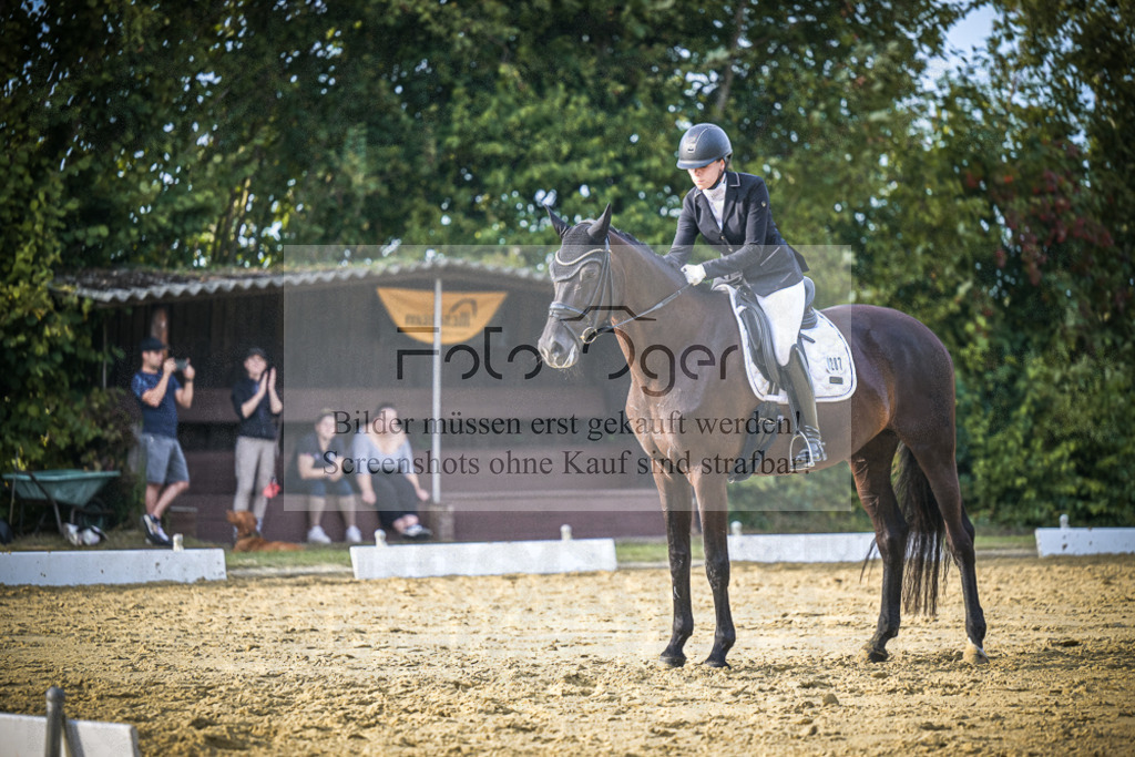 DOS_1164 | Entdecke hochwertige Reitturnierfotos von Foto Oger. Professionell, emotional und authentisch – jetzt Lieblingsmomente im Shop bestellen.Deutschlandweite Turnierfotografie. - Realisiert mit Pictrs.com