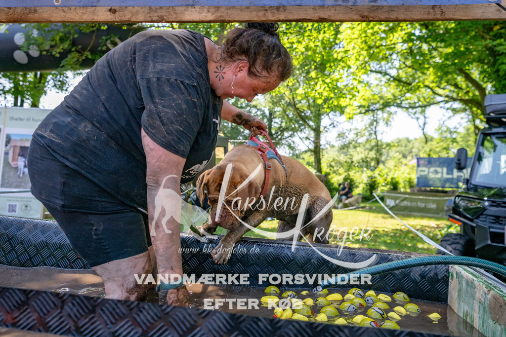 1333_ZZ91597 | kk-dogfotos