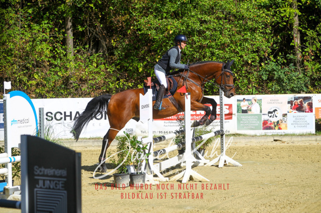 DKP42298 | Turniersportfotografie; Pferdefotografie; Dressurfotografie