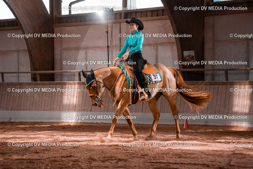 NE100424 | dv-media-shop - Realisiert mit Pictrs.com