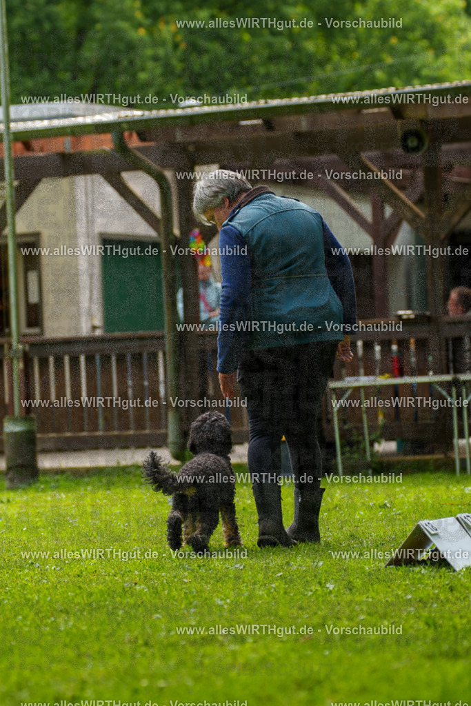 @allesWIRTHgut_Tierfotografie - www.allesWIRTHgut.de - 092943-7R507202 | Professionelle Tierfotografie in Mönchengladbach von Daniel Wirth (allesWIRTHgut). Liebevolle & natürliche Bilder von Hunden & Katzen für unvergessliche Erinnerungen.