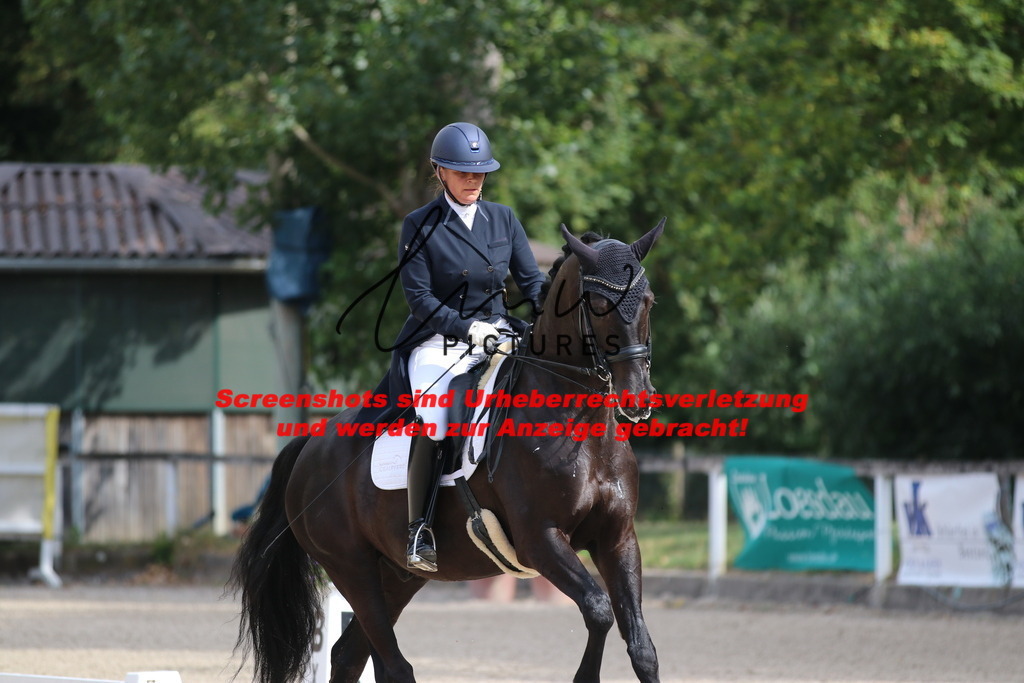 IMG_1303 | lmwpictures - Realisiert mit Pictrs.com