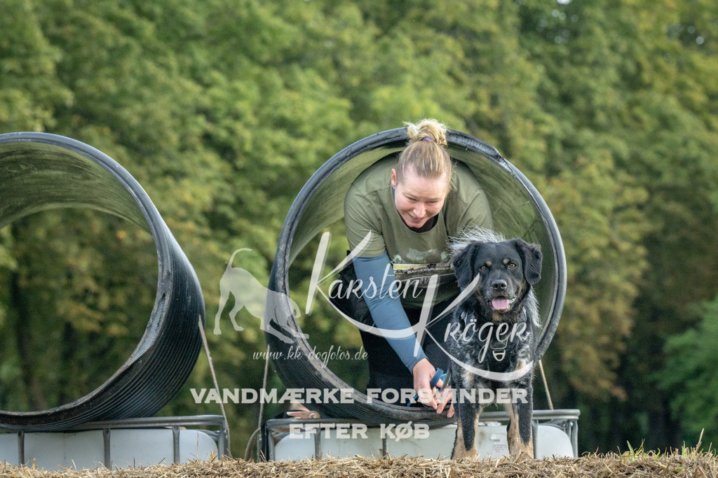 1052_ZZ93333 | kk-dogfotos