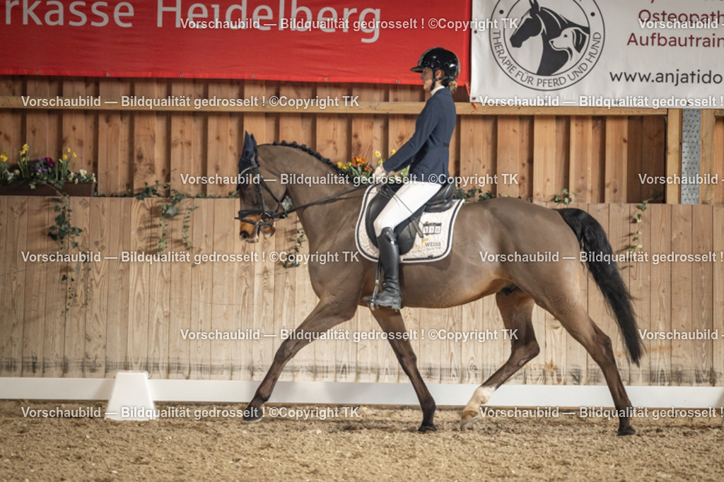 _D5A1144 | Emotionale Pferde- & People-Fotografie rund um Heidelberg, Leimen & Umgebung. Natürliche Fotos von Pferd, Mensch & Familie. Jetzt Termin sichern!