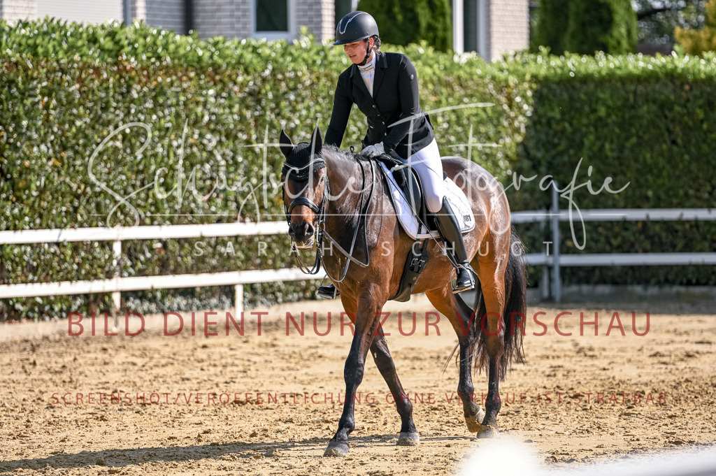Schugtsche-Aluta25-52.Dressurprf.M2Kand-273 | Schugtsche Fotografie - Realisiert mit Pictrs.com