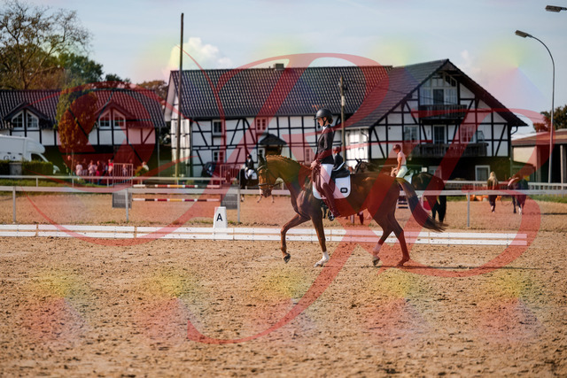 2026_10_03_Siefer-Hof_132849_Z63_90161225 | Professionelle Reitsport-, Turnier- und Eventfotografie von Robert Broda. Galerien mit ausgewählten und bearbeiteten Bildern direkt online ansehen und bestellen.