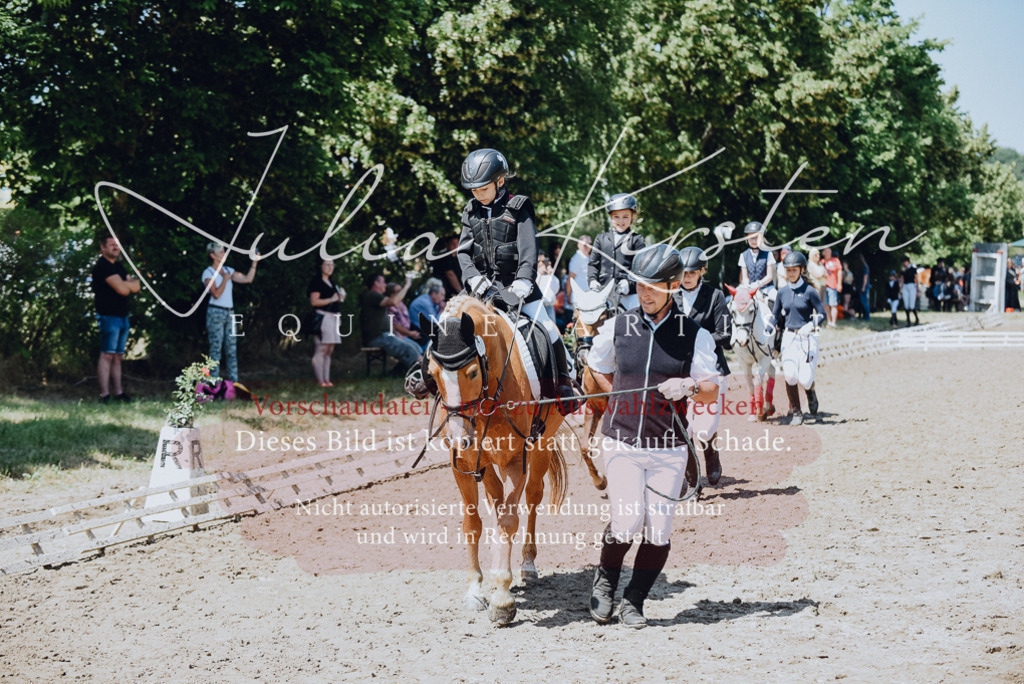 DSC_2457 | Pferde- und Turnierfotografie in Westsachsen. Pferdeportraits, Auftragszeichnungen und intuitive Kunst.