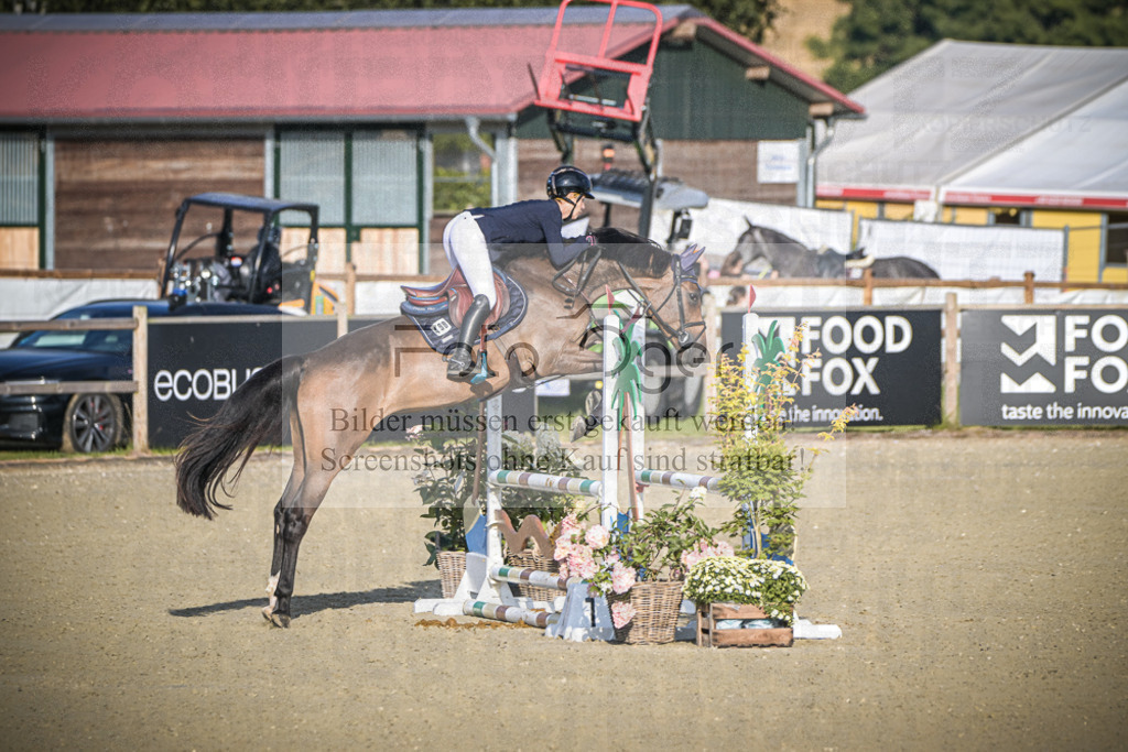 DOS_7596 | Entdecke hochwertige Reitturnierfotos von Foto Oger. Professionell, emotional und authentisch – jetzt Lieblingsmomente im Shop bestellen.Deutschlandweite Turnierfotografie. - Realisiert mit Pictrs.com