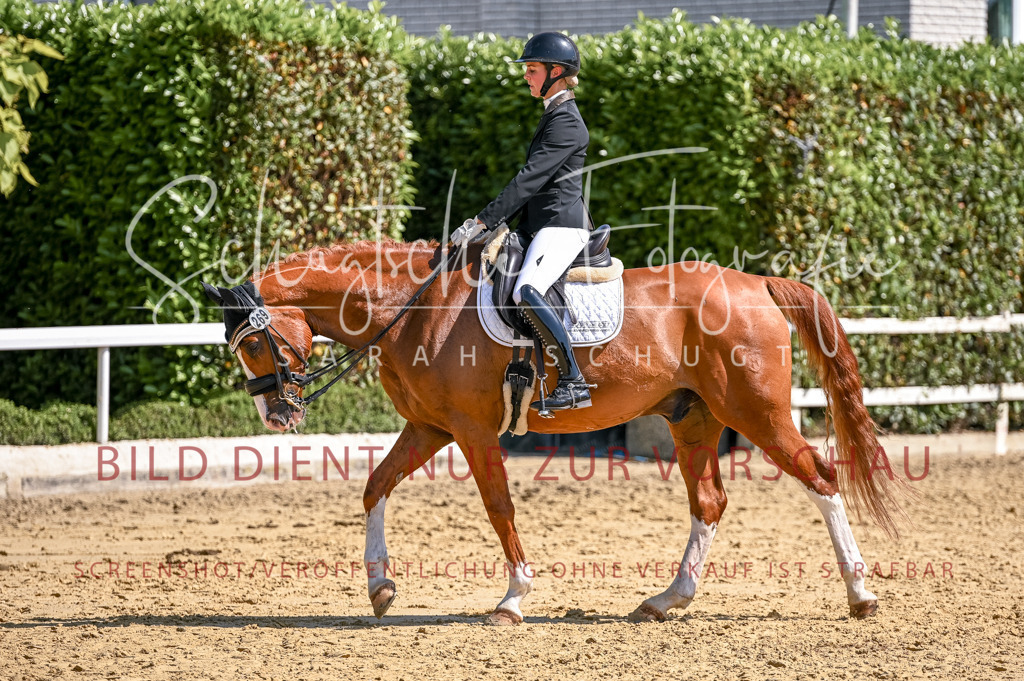 Schugtsche-Aluta25-52.Dressurprf.M2Kand-522 | Schugtsche Fotografie - Realisiert mit Pictrs.com