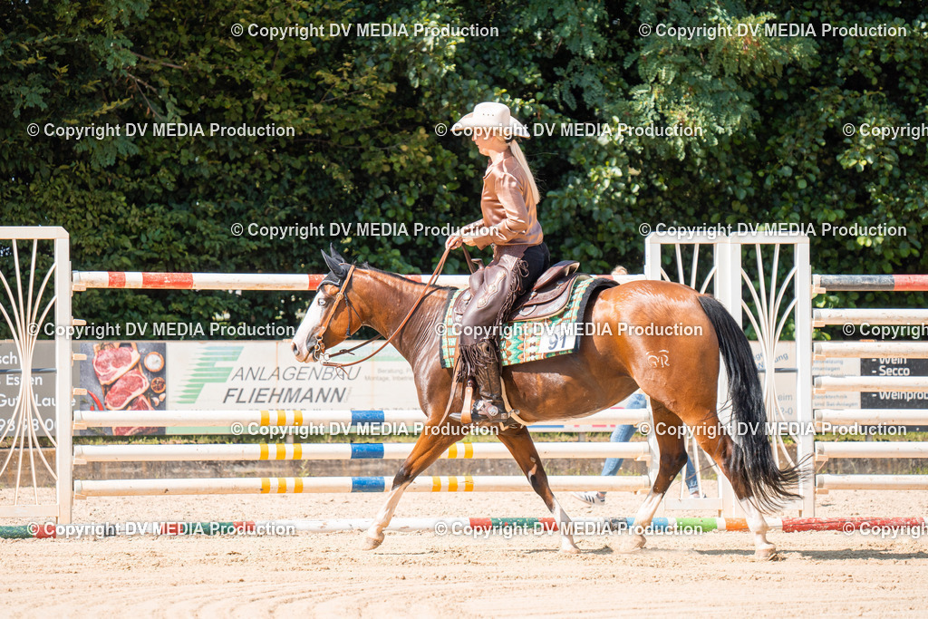 ZH100686 | dv-media-shop - Realisiert mit Pictrs.com