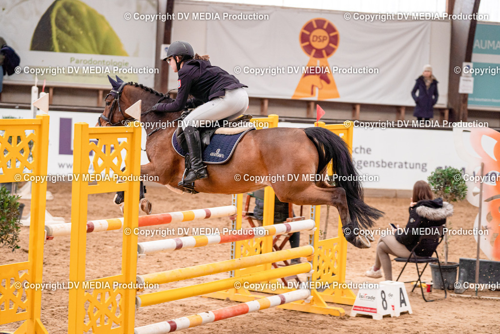 Kranichstein Tag 3-315 | dv-media-shop - Realisiert mit Pictrs.com