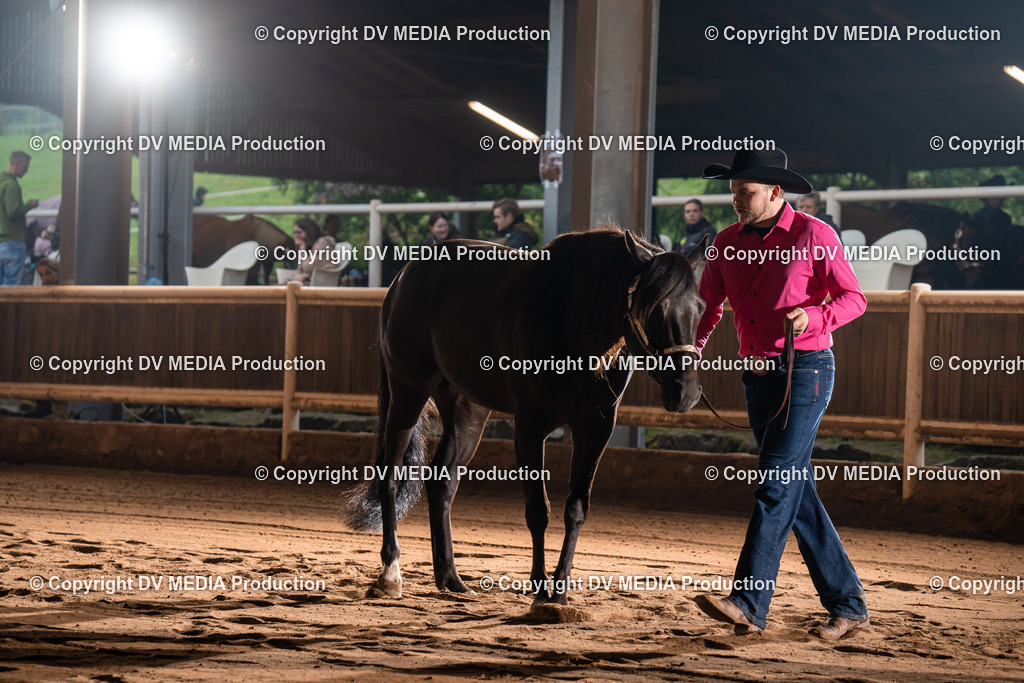 Erbach Tag 2-103 | dv-media-shop - Realisiert mit Pictrs.com