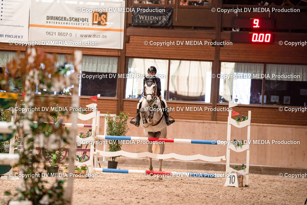 Springen Tag 3-020 | dv-media-shop - Realisiert mit Pictrs.com