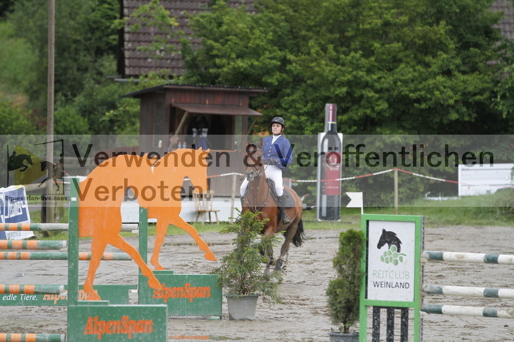 _MG_6391 | equestrian-live-com