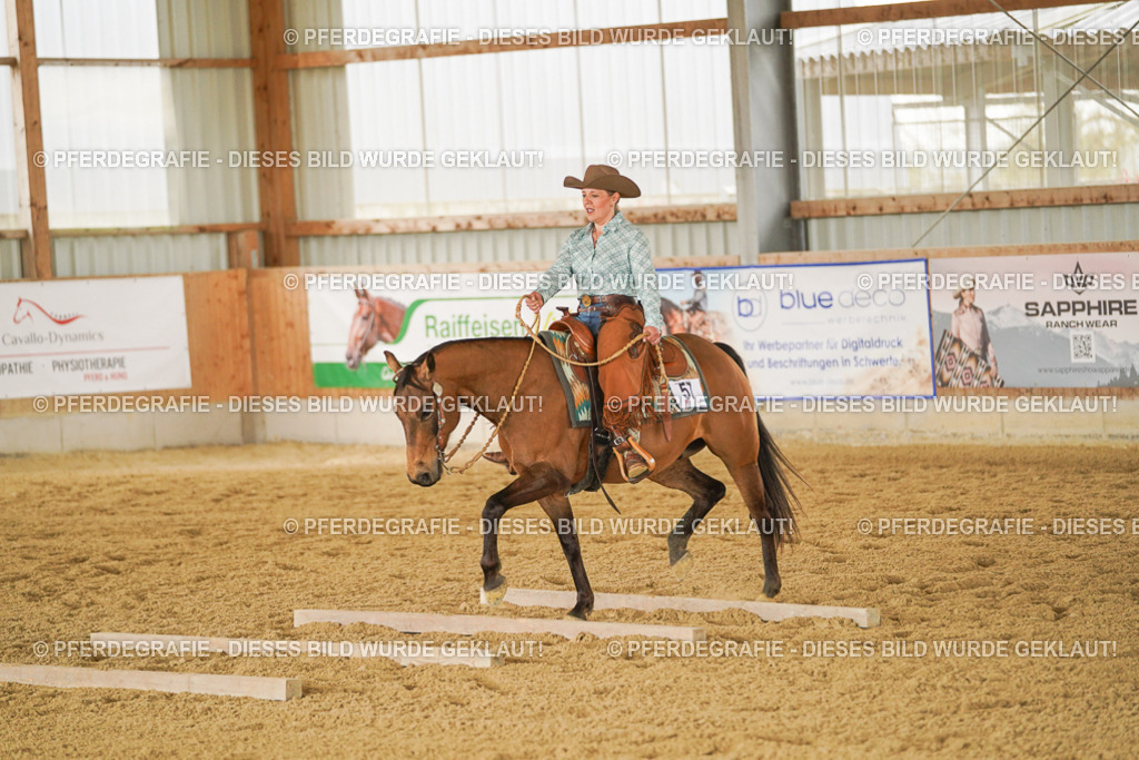 DSC04065 | Pferdegrafie