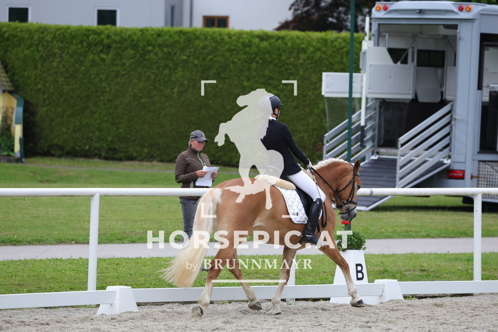 0P6A7084 | Willkommen bei Brunnmayr - Design & Fotografie – Ihrem Spezialisten für Reitturniere und Pferdeveranstaltungen in Oberösterreich, Salzburg und Bayern! Seit über 17 Jahren sind wir leidenschaftlich dabei.