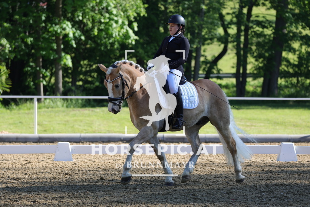 0P6A9350 | Willkommen bei Brunnmayr - Design & Fotografie – Ihrem Spezialisten für Reitturniere und Pferdeveranstaltungen in Oberösterreich, Salzburg und Bayern! Seit über 17 Jahren sind wir leidenschaftlich dabei.