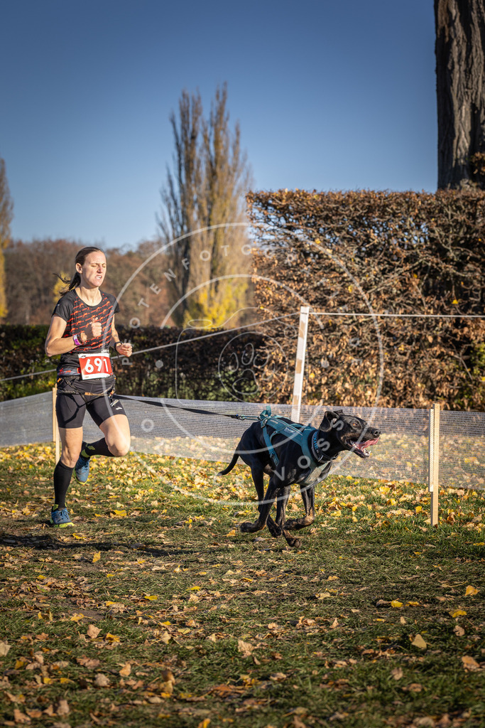 CaniXpix_DV3A1284 | Hundefotografie, Tierfotograf, Pfotenfotografie, Fotoshooting Hund, Hunde Portrait, Hundesport, Hundeportraits, Heideshooting, Hunde, Sportfotograf, Hundefotograf, Turnierhundsport, THS,  - Realisiert mit Pictrs.com
