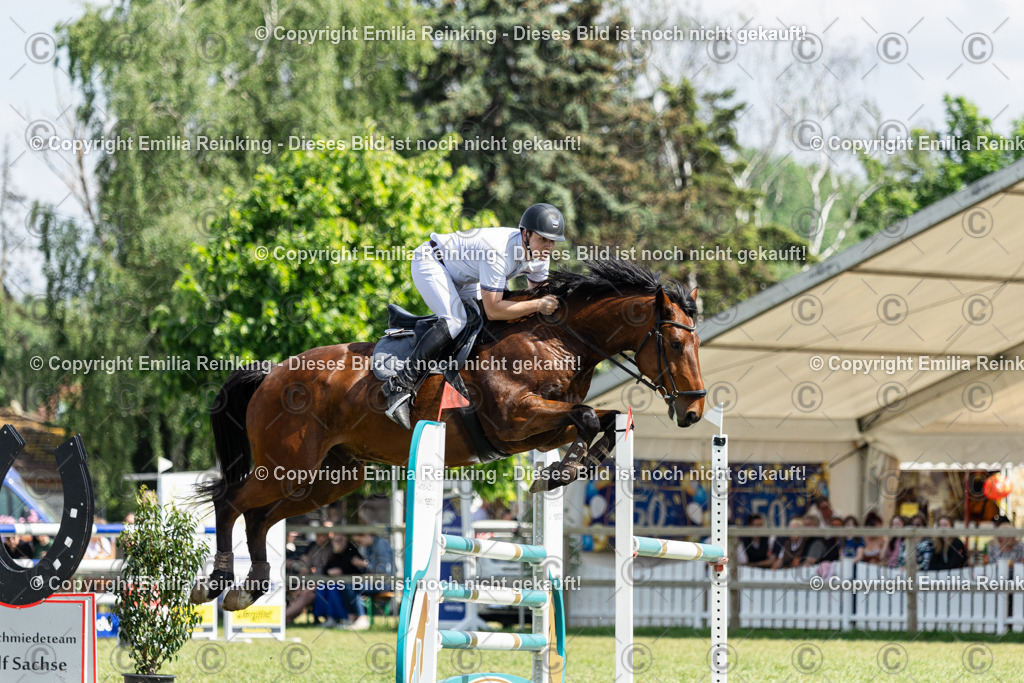 CL5A4350 | Emilia Reinking Fotografie - Realisiert mit Pictrs.com